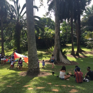 Singapore Botanic Gardens: watching students play